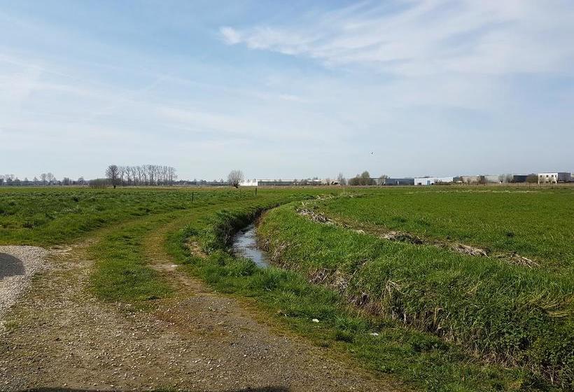 Bed and Breakfast Manjefiek 4