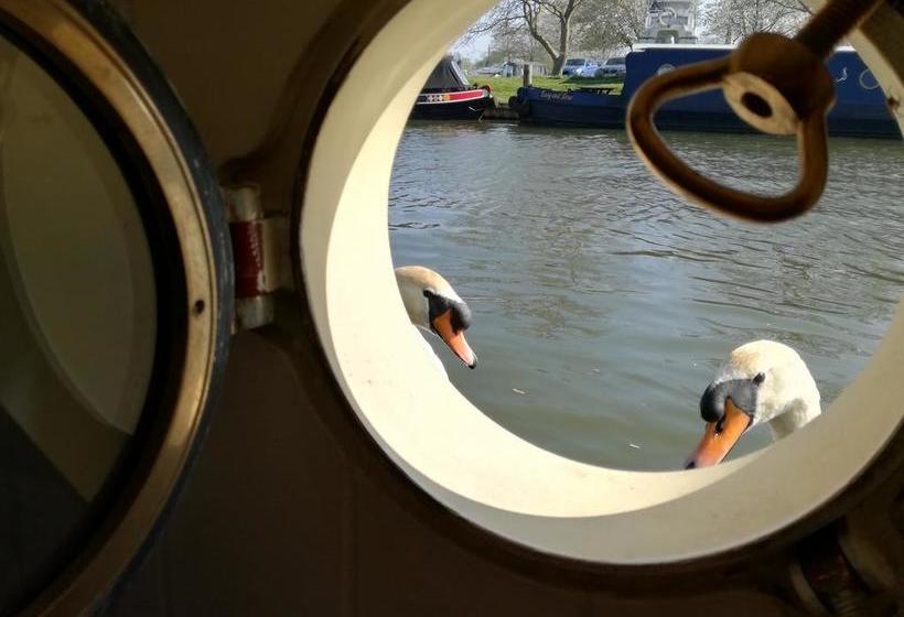 Hotel Barge Waternimf 7