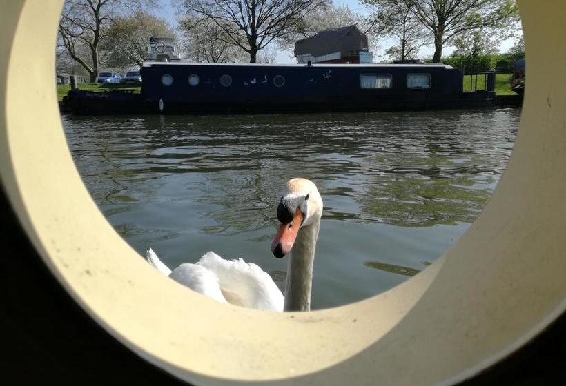 Hotel Barge Waternimf 8