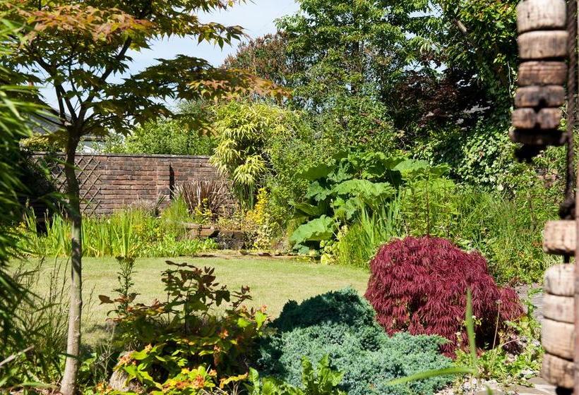 Family Room Bed & Breakfast 16