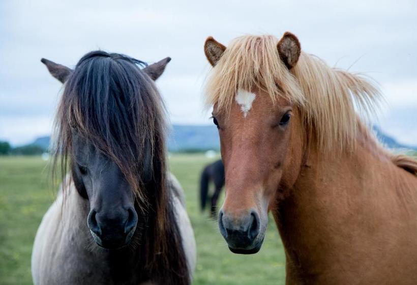 South Central Hostel