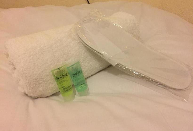 Bed and Breakfast Lady Hamilton 9