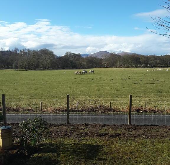 Bed and Breakfast Highwinds 13