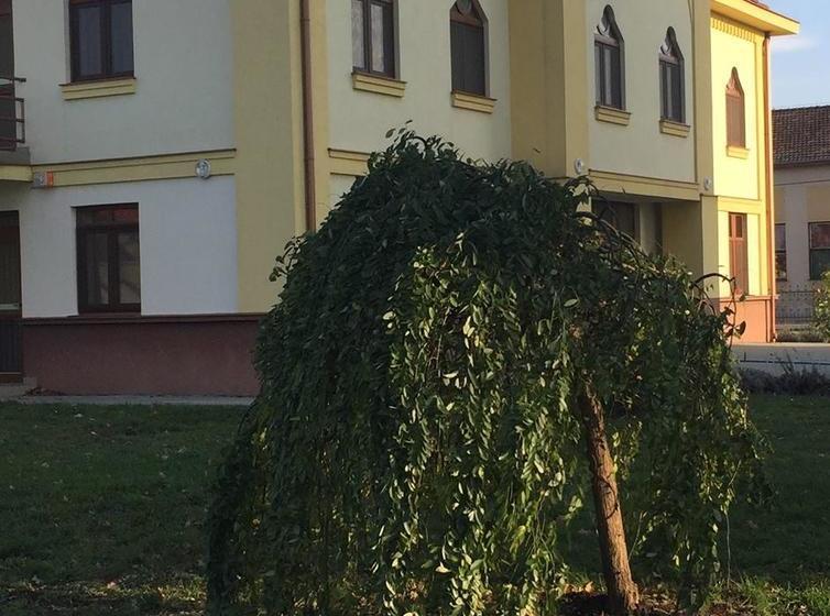 Bed and Breakfast Mamre Szálló 12