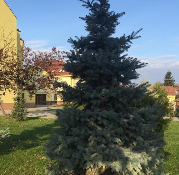 Bed and Breakfast Mamre Szálló 17