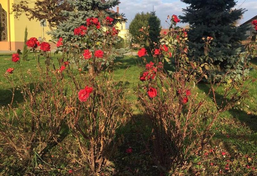 Bed and Breakfast Mamre Szálló 2