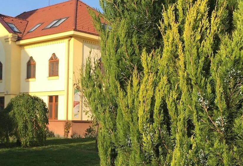 Bed and Breakfast Mamre Szálló 5