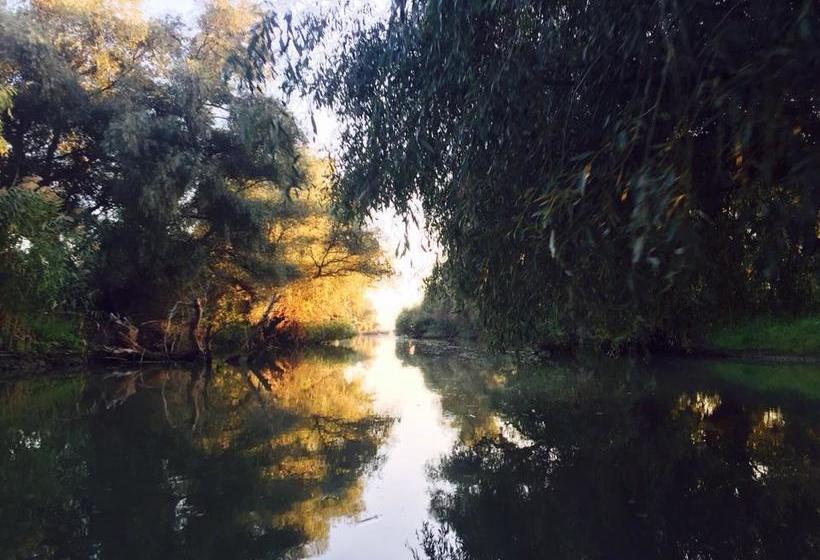 Bed and Breakfast Vila Alina