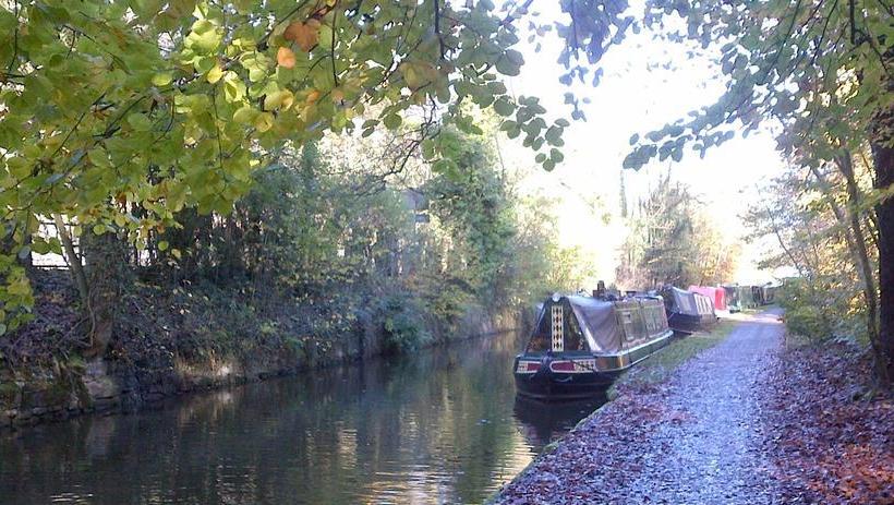 Bed and Breakfast Springbank Guest House
