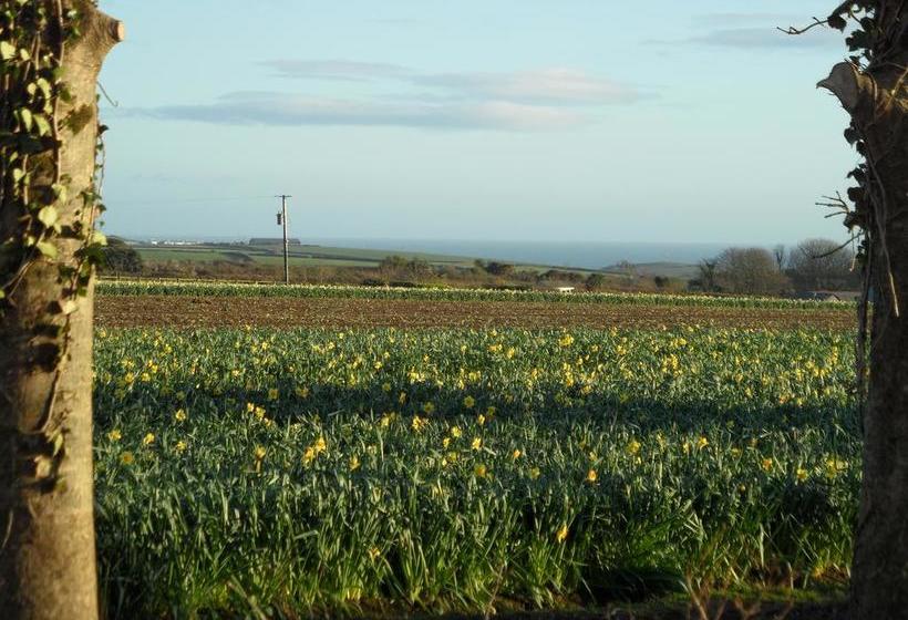 Bed and Breakfast Monterey Pines 7