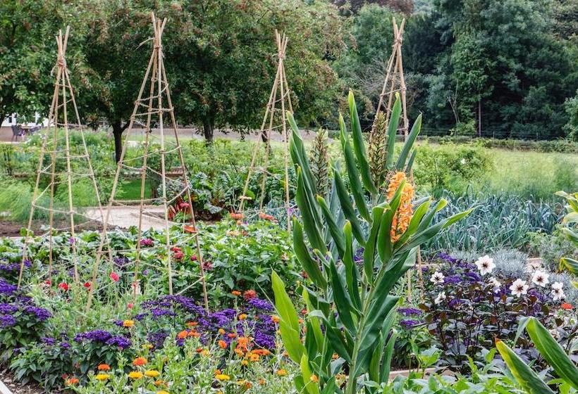 Hôtel Beaverbrook 11