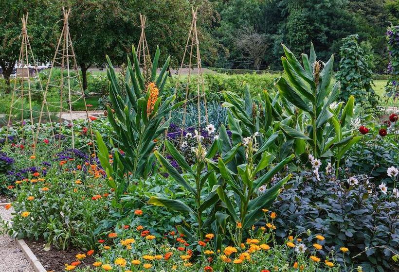 Hôtel Beaverbrook 14