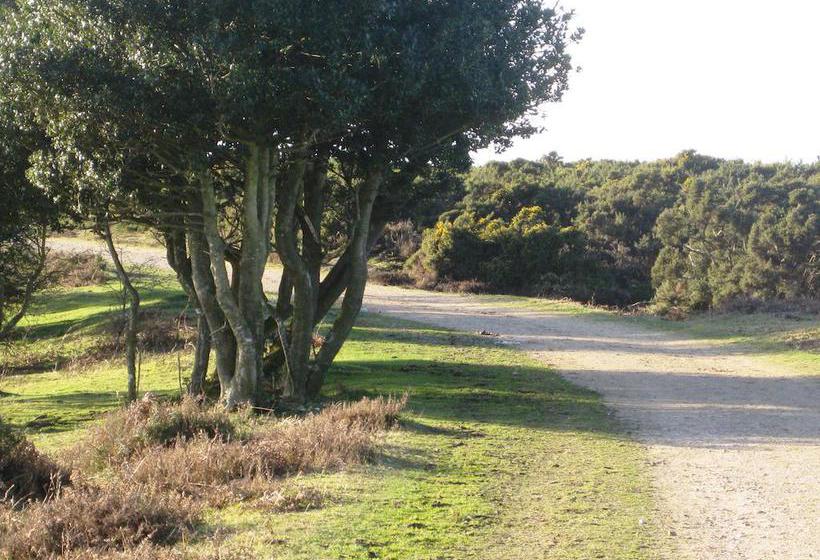 Bed and Breakfast Whitemoor House 17