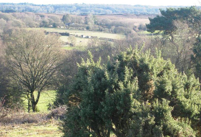 Bed and Breakfast Whitemoor House 18