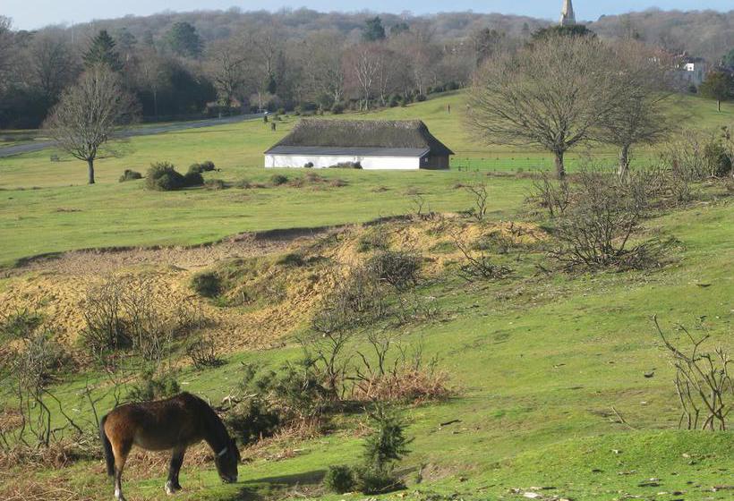 Bed and Breakfast Whitemoor House 20