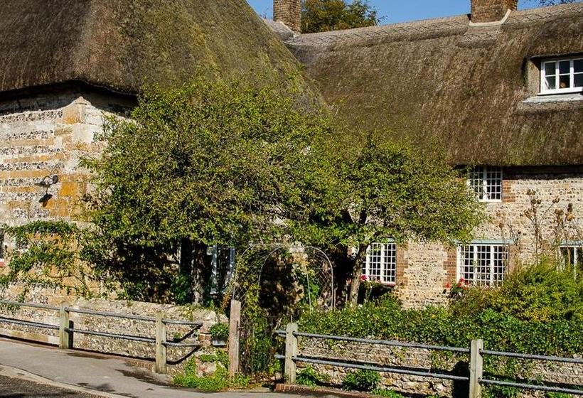 Bed and Breakfast Tudor Cottage Frampton