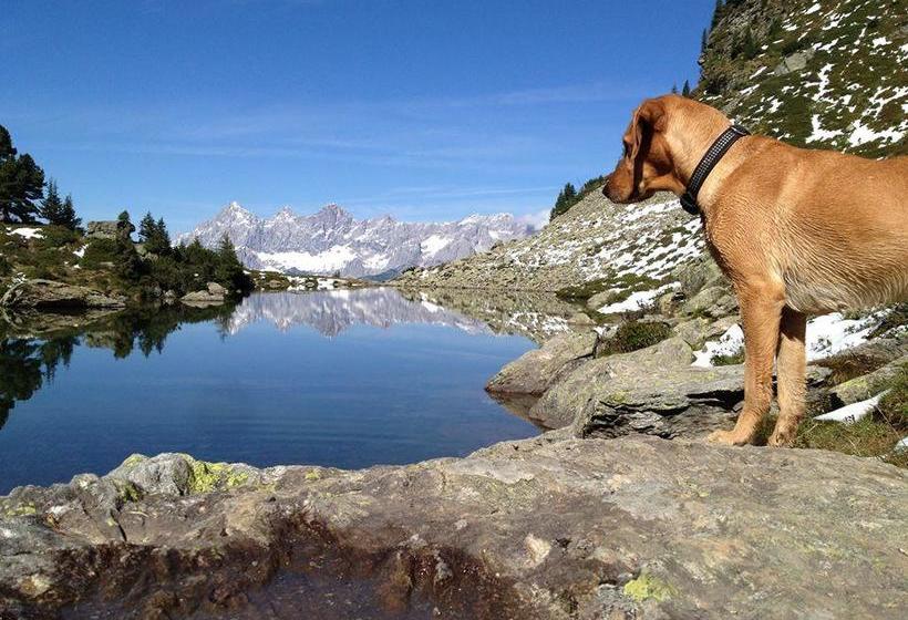 Das Kleine Bio Hotel Tiefenbach