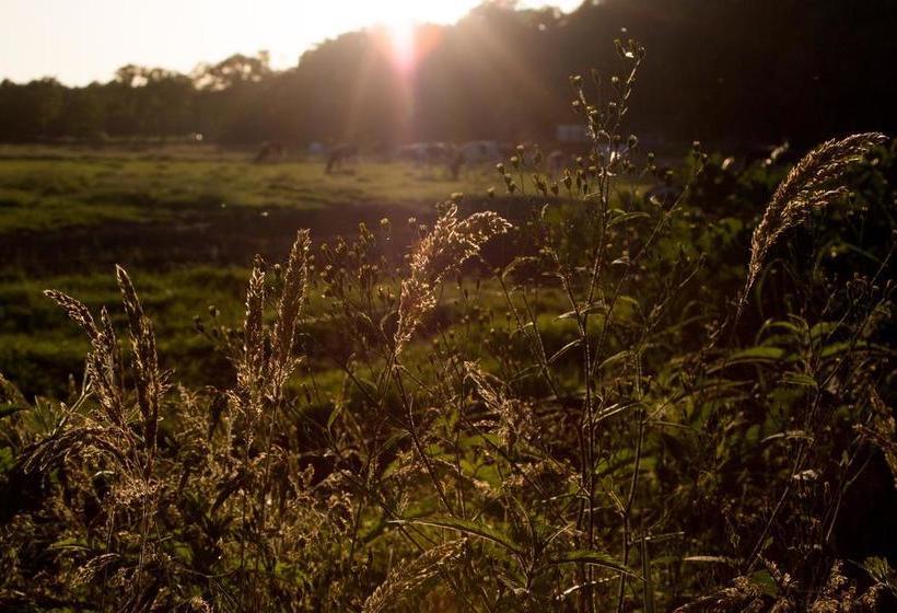 Biotel Achterhoek 10