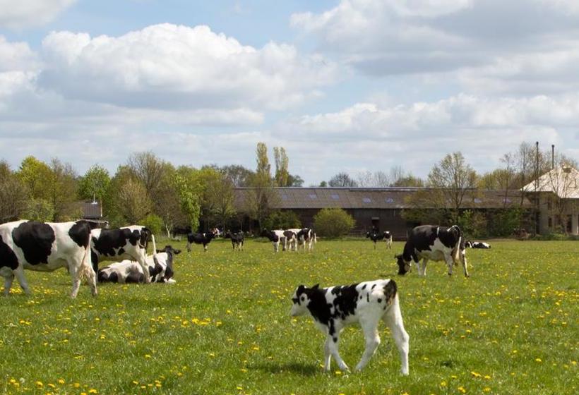 Biotel Achterhoek 12