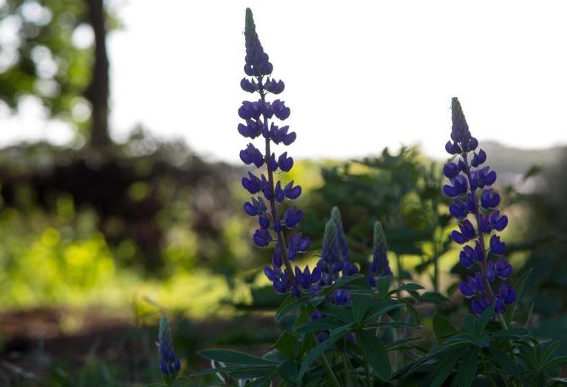 Biotel Achterhoek 13