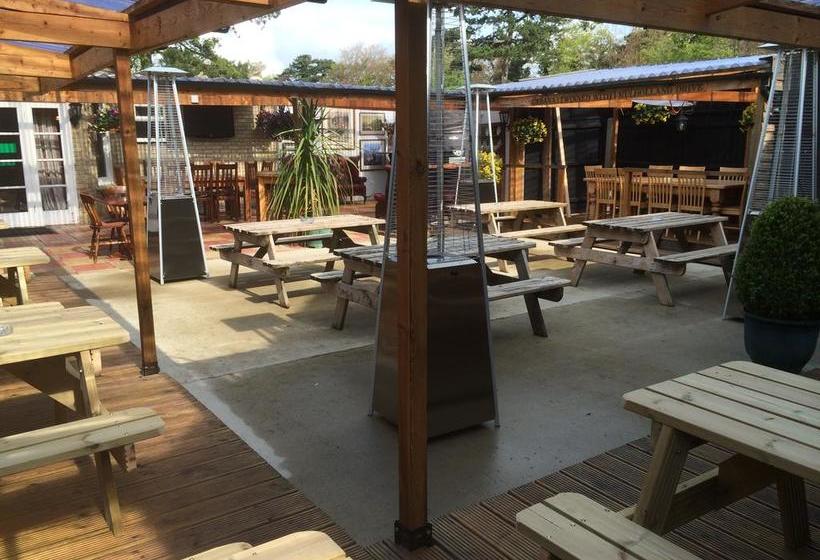 Bed and Breakfast The Green Man 1