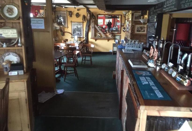 Bed and Breakfast The Green Man 8