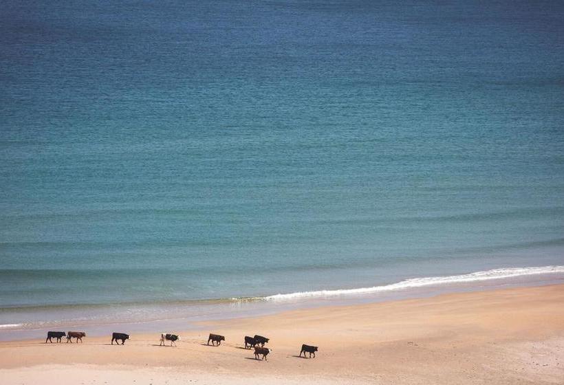 White Park Bay Youth Hostel 10