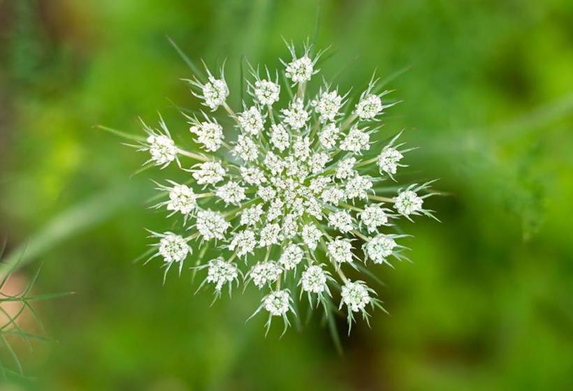 Hospedaria Yha Eden Project 13
