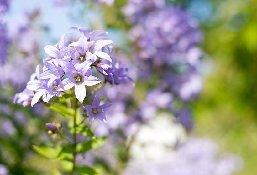 Hospedaria Yha Eden Project 19