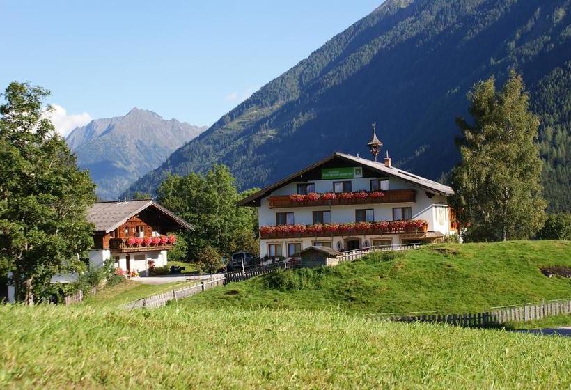 Bed & Breakfast Pension Stammerhof