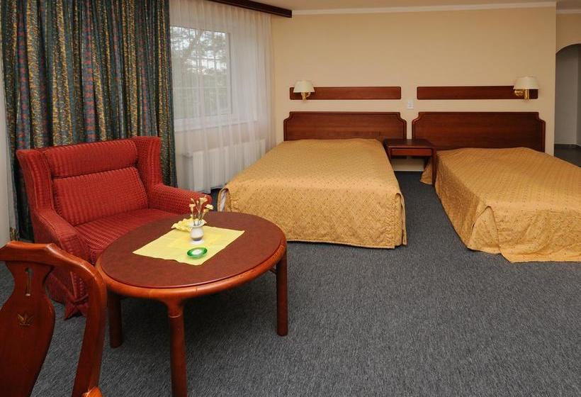 Hotel Bohemia Excellent 20