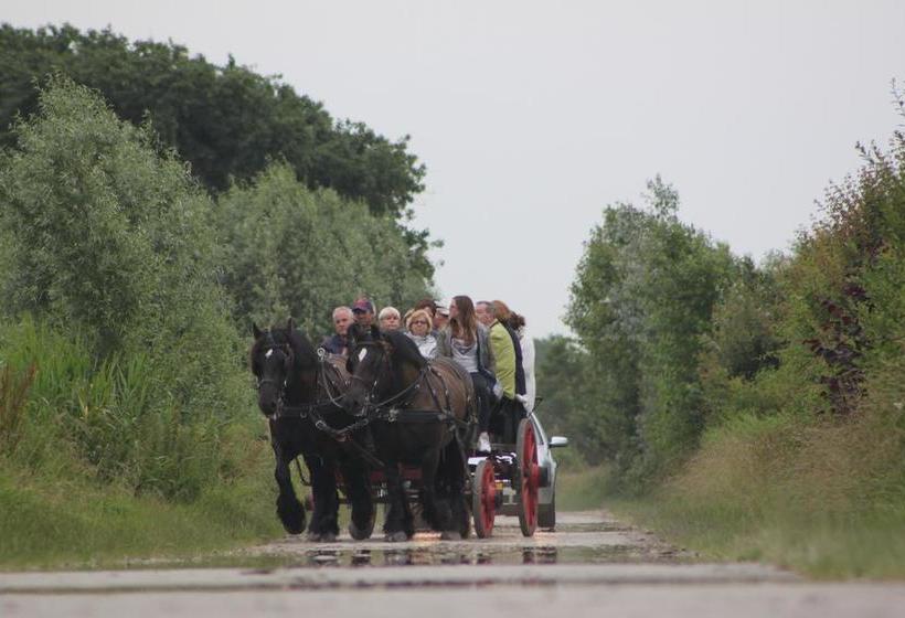 Bed and Breakfast Villa Hoog Duin