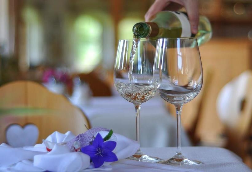 Hotel Hansbauerhof 4