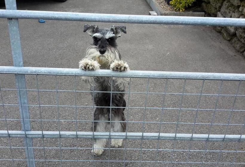 The Malthouse Bed & Breakfast 12