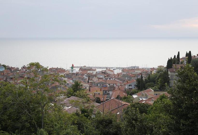 Bed & Breakfast Casa Mia 17