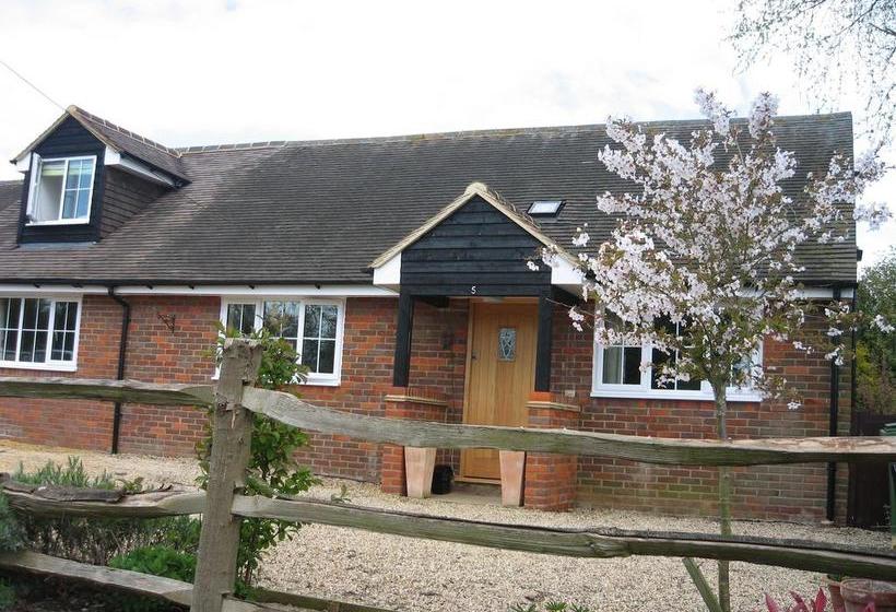 Cherry Tree Bed & Breakfast 10