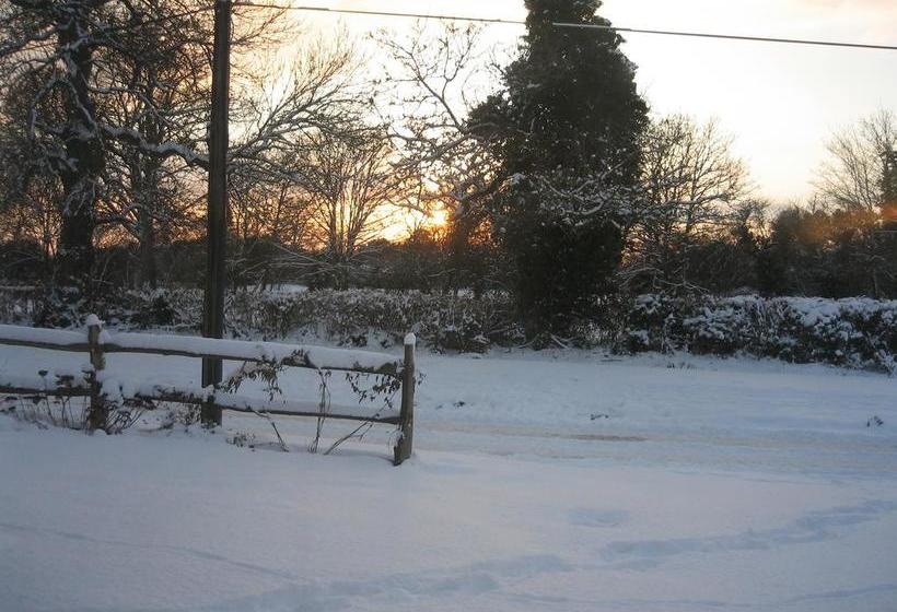 Cherry Tree Bed & Breakfast 6