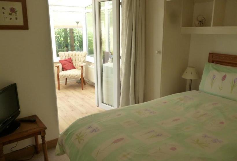 Cherry Tree Bed & Breakfast 7