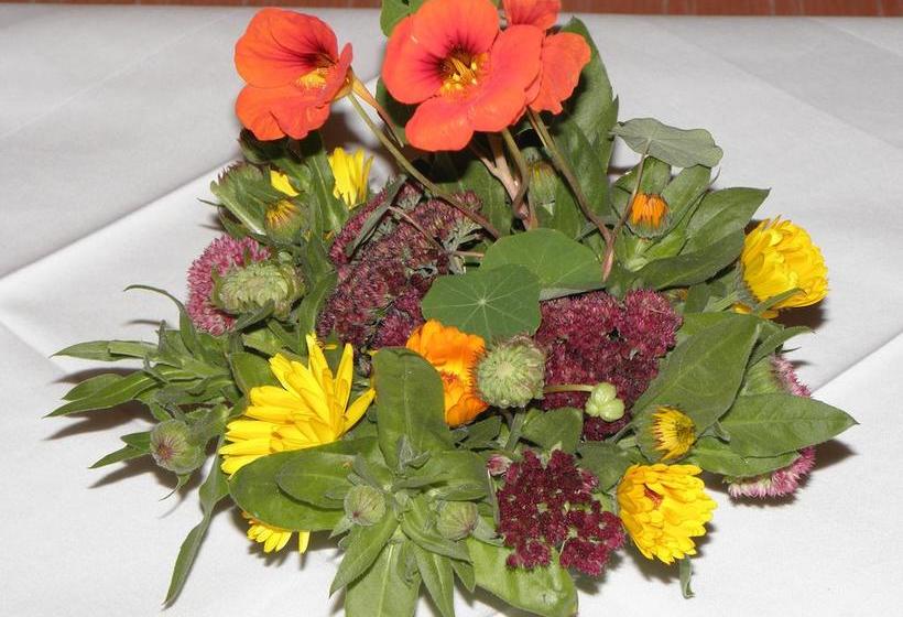 Bed and Breakfast Frühstückspension Almcasino 12