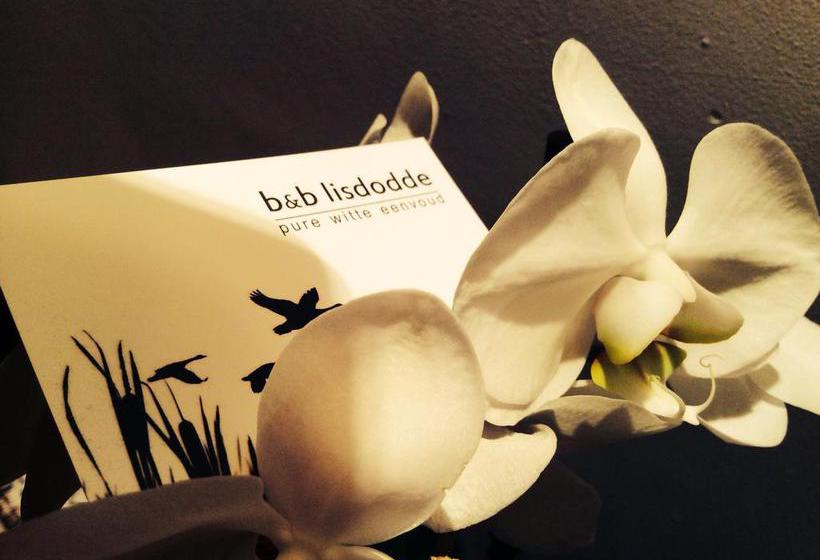B&b Lisdodde