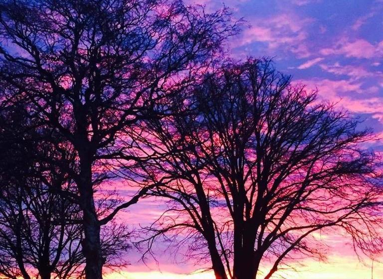 Bed & Breakfast Bed&Breakfast Idestrup 19