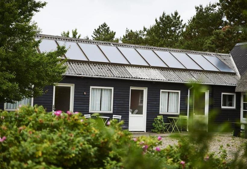 Danhostel Rømø 2