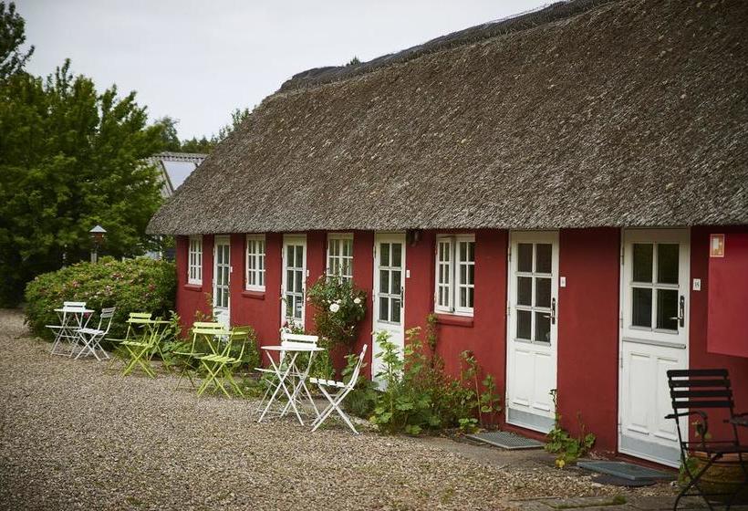 Danhostel Rømø 3