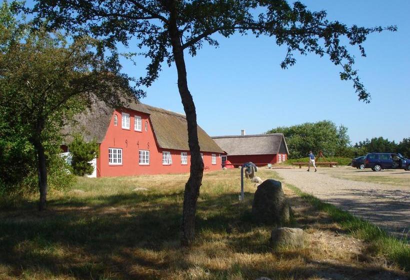 Danhostel Rømø 7
