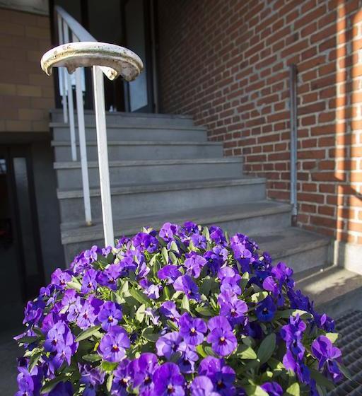 Bed and Breakfast Bed&Breakfast Vesterskov 18