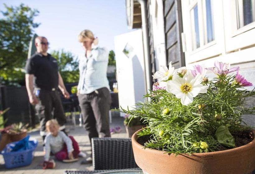 Bed and Breakfast Bed&Breakfast Vesterskov 4