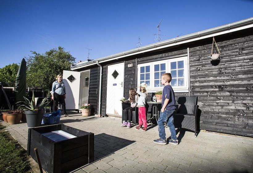 Bed and Breakfast Bed&Breakfast Vesterskov 8