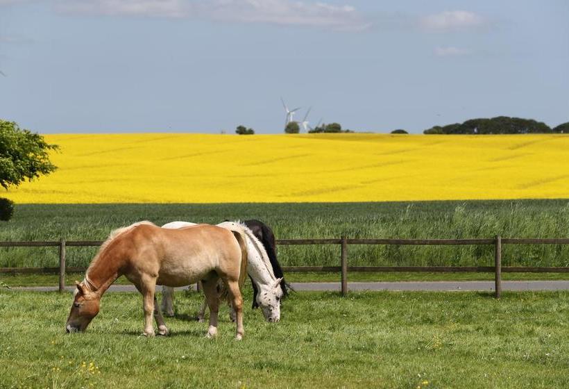 Bed and Breakfast Bed&Breakfast Thommysminde