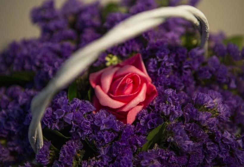 Boutique Hotel Melissa 20