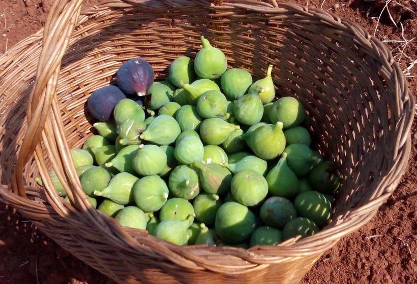 Bed and Breakfast Bed&Breakfast Korta Gira 1